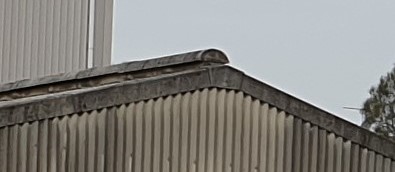 Asbestos cement ventilating ridges and components - Asbestos Product Guide