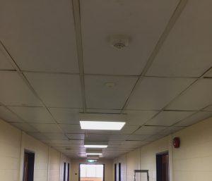 Ceiling tiles and panels - Asbestos Product Guide